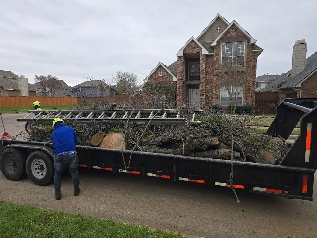 Expert Tree Fertilization with proper safety equipment in Mc Ewen